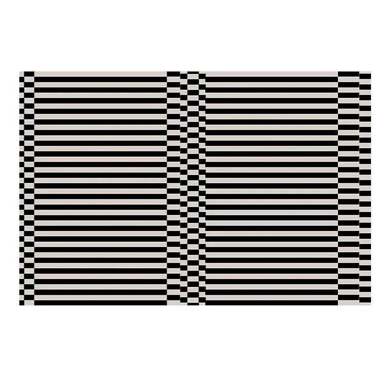 Retro Black White Rug