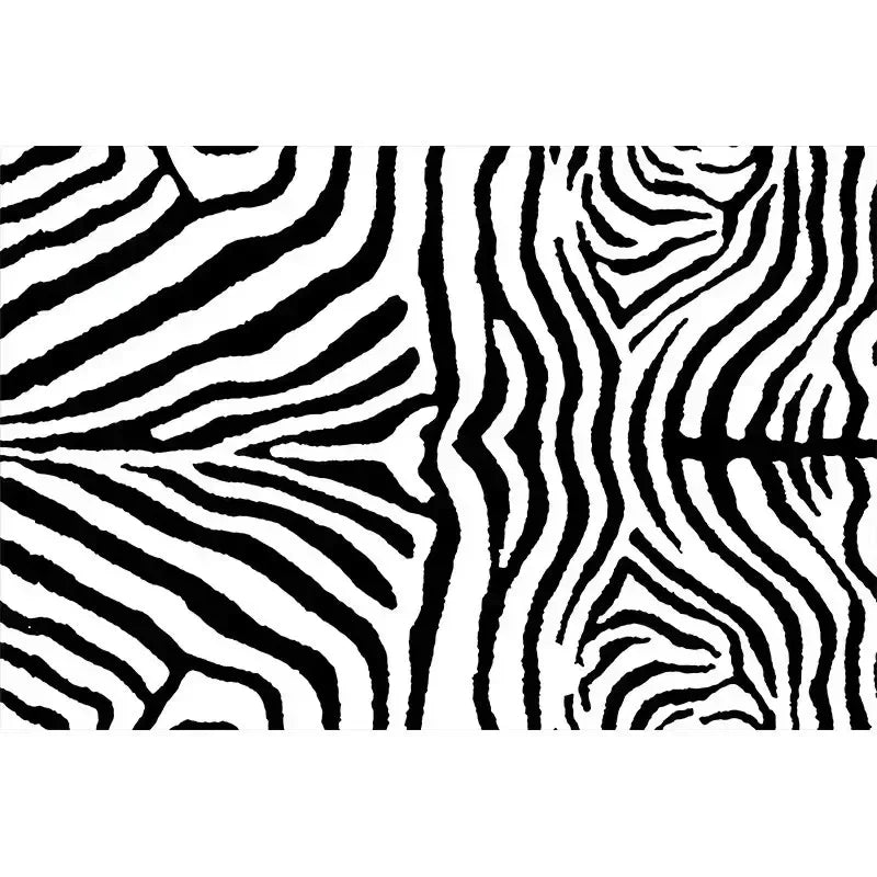 Retro Black White Rug