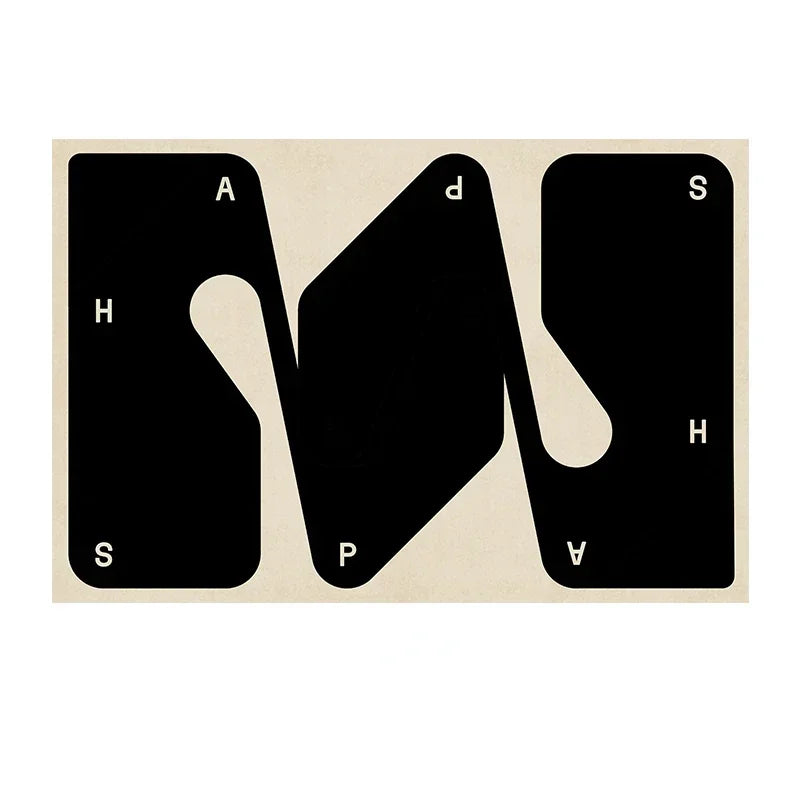 Retro Black White Rug