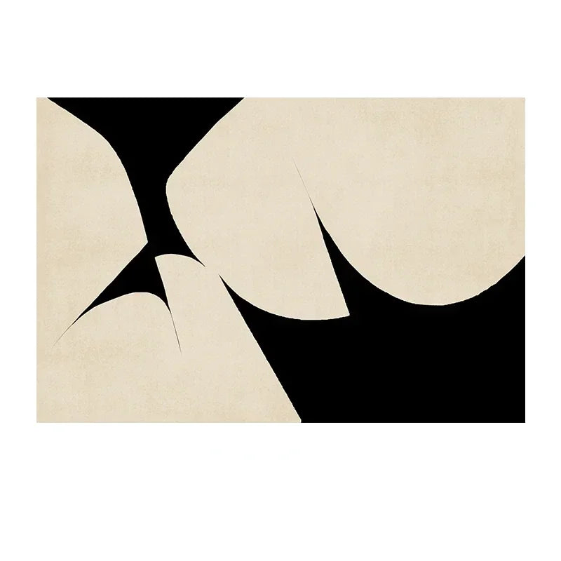 Retro Black White Rug